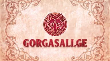 gorgasali.ge